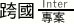 跨國專案
